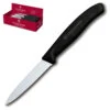 Swiss Classic Paring Knife Display - 2 Dozen 3.25" Serrated Spear Tip Paring Knives By Victorinox - Black Handle (6.7633)